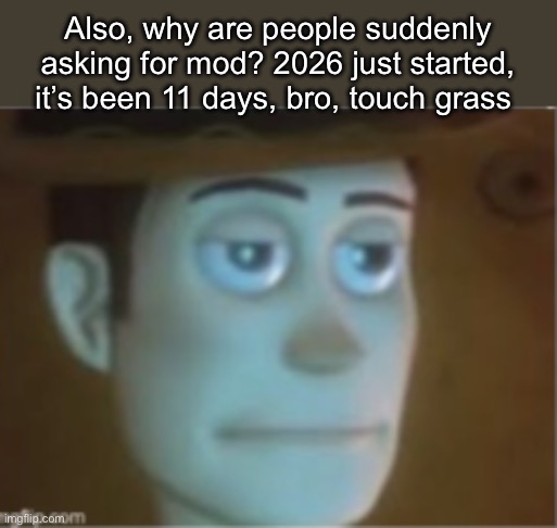 Woody Dissappinted Stare | Also, why are people suddenly asking for mod? 2026 just started, it’s been 11 days, bro, touch grass | image tagged in woody dissappinted stare | made w/ Imgflip meme maker