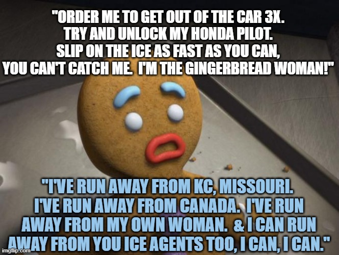 Gingerbread man | "ORDER ME TO GET OUT OF THE CAR 3X. 
TRY AND UNLOCK MY HONDA PILOT. 
SLIP ON THE ICE AS FAST AS YOU CAN, 
YOU CAN'T CATCH ME.  I'M THE GINGERBREAD WOMAN!"; "I'VE RUN AWAY FROM KC, MISSOURI. 
 I'VE RUN AWAY FROM CANADA.  I'VE RUN 
AWAY FROM MY OWN WOMAN.  & I CAN RUN AWAY FROM YOU ICE AGENTS TOO, I CAN, I CAN." | image tagged in gingerbread man | made w/ Imgflip meme maker