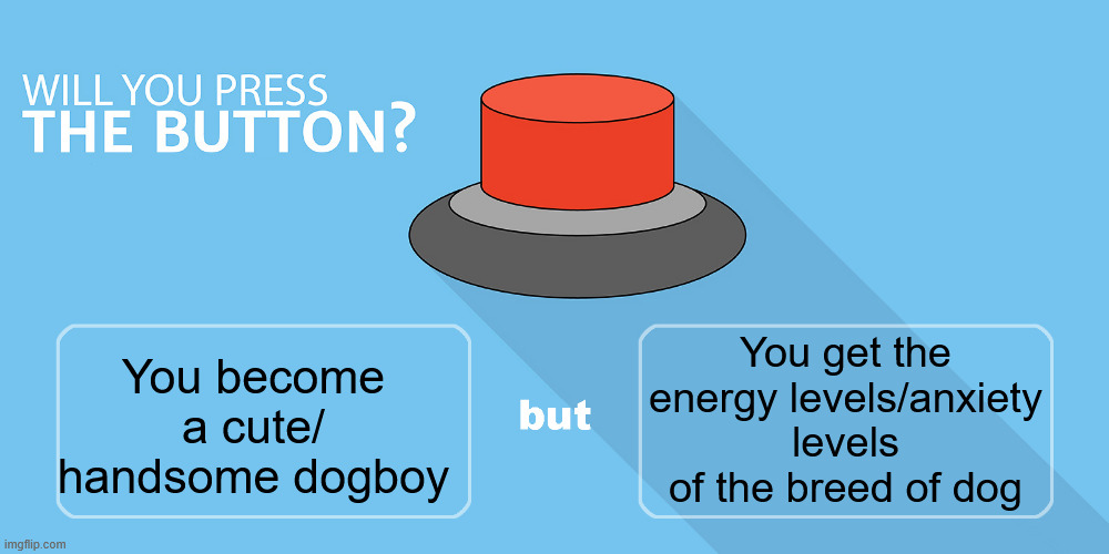 I'd press it so damn fast | You get the energy levels/anxiety levels of the breed of dog; You become a cute/ handsome dogboy | image tagged in would you press the button | made w/ Imgflip meme maker