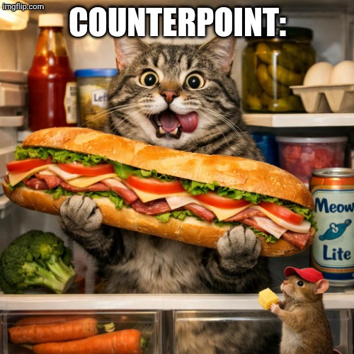 ai slop | COUNTERPOINT: | image tagged in ai slop | made w/ Imgflip meme maker