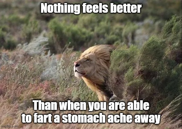 Nature Is Beautiful | Nothing feels better; Than when you are able to fart a stomach ache away | image tagged in gas,lion,fart,ahhhhhhhhhhhhh | made w/ Imgflip meme maker