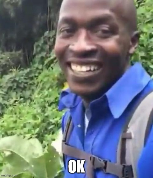 Okay  | OK | image tagged in okay | made w/ Imgflip meme maker