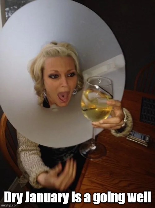 Dry January | Dry January is a going well | image tagged in no drinking,cone of shame,safe,dry | made w/ Imgflip meme maker
