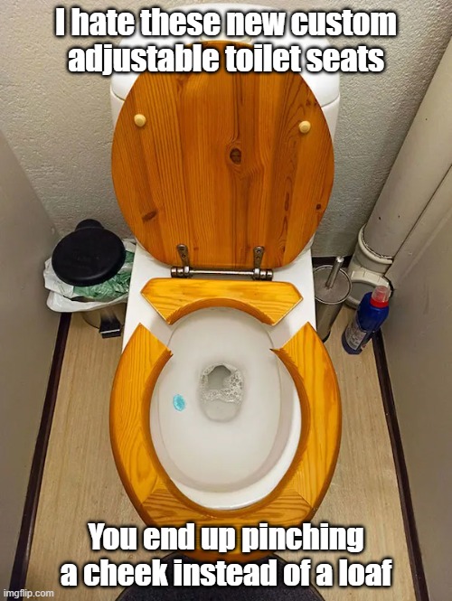 Pinching One | I hate these new custom adjustable toilet seats; You end up pinching a cheek instead of a loaf | image tagged in toilet humor,pain,technology,one size doesn't fit all | made w/ Imgflip meme maker