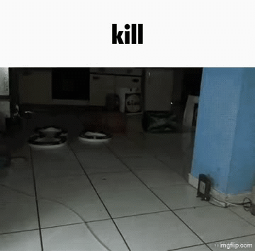 kill - Imgflip