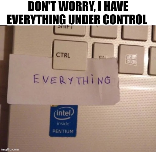 Don't Worry, I Have Everything Under Control | DON'T WORRY, I HAVE EVERYTHING UNDER CONTROL | image tagged in chrisjoines1 | made w/ Imgflip meme maker