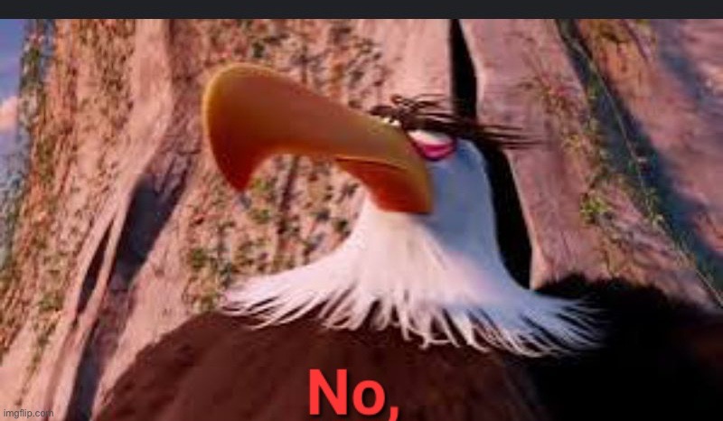 Mighty eagle says no, | image tagged in mighty eagle says no | made w/ Imgflip meme maker