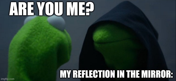 Evil Kermit | ARE YOU ME? MY REFLECTION IN THE MIRROR: | image tagged in memes,evil kermit | made w/ Imgflip meme maker