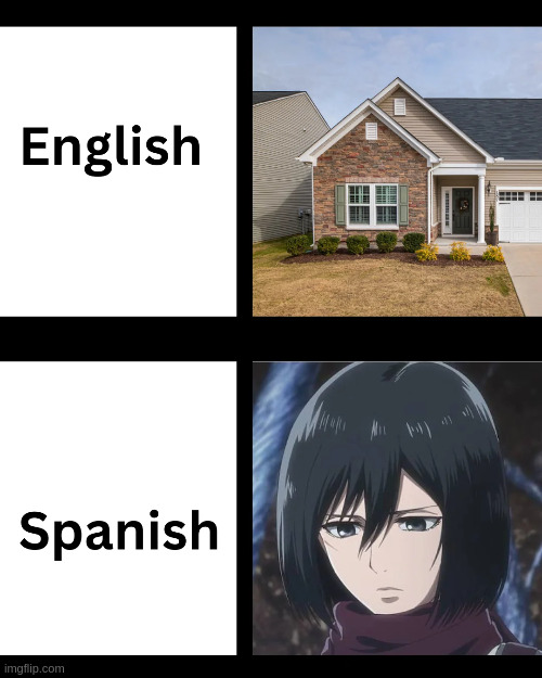 Haven't seen too much AOT, but I do really like Mikasa. | made w/ Imgflip meme maker