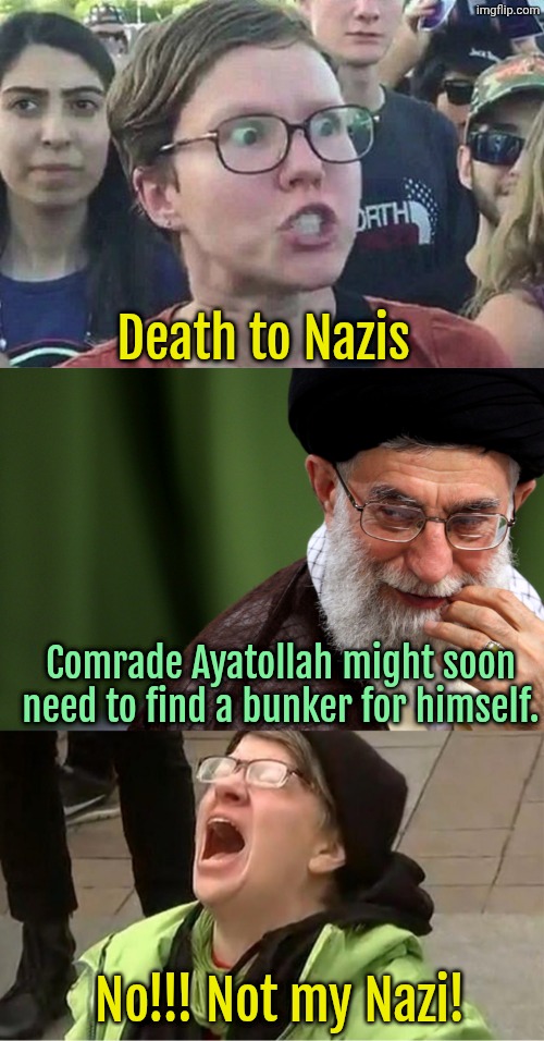 Not our Nazis #NaziLivesMatter | Death to Nazis; Comrade Ayatollah might soon need to find a bunker for himself. No!!! Not my Nazi! | image tagged in liberal hypocrisy,liberals,democrats,iran | made w/ Imgflip meme maker