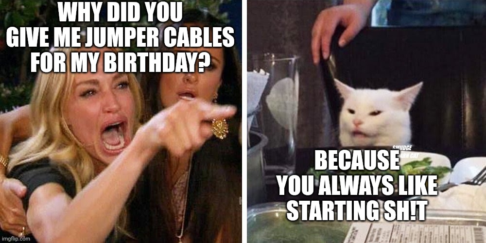 Smudge that darn cat with Karen | WHY DID YOU GIVE ME JUMPER CABLES FOR MY BIRTHDAY? BECAUSE YOU ALWAYS LIKE STARTING SH!T | image tagged in smudge that darn cat with karen | made w/ Imgflip meme maker