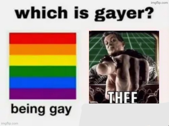 Which is gayer? | image tagged in which is gayer | made w/ Imgflip meme maker