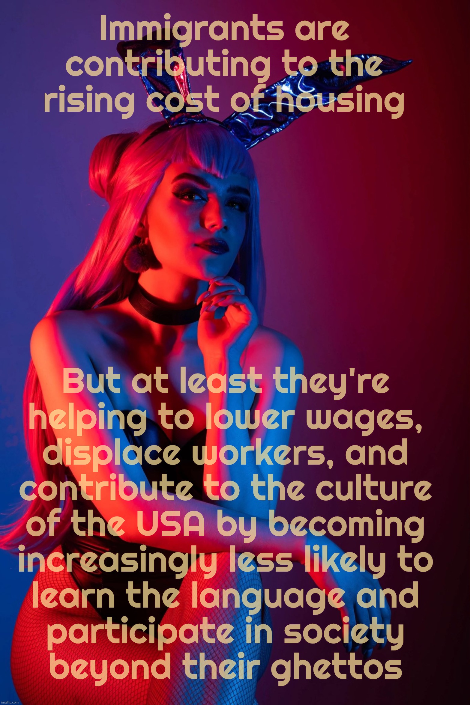 Evelynn K/DA | Immigrants are contributing to the rising cost of housing But at least they're
helping to lower wages,
displace workers, and
contribute to t | image tagged in evelynn k/da | made w/ Imgflip meme maker