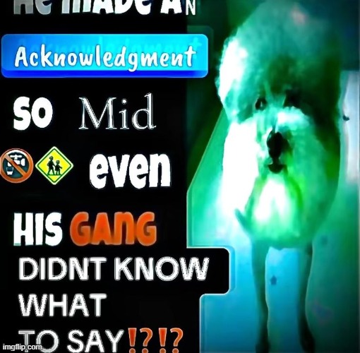 made w/ Imgflip meme maker