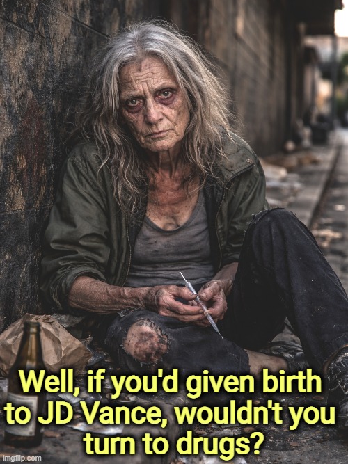 Well, if you'd given birth 
to JD Vance, wouldn't you 
turn to drugs? | image tagged in jd vance,mother,hillbilly,drugs,drug addiction | made w/ Imgflip meme maker
