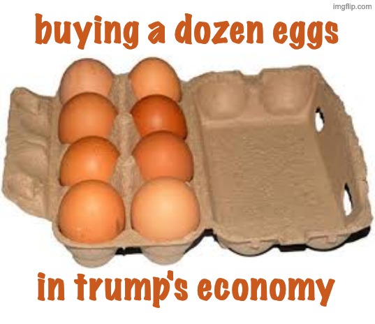 They cost 10% less than the old dozen, so we're winning, right? | buying a dozen eggs in trump's economy | image tagged in eggs,inflation,money,trump,idiocracy | made w/ Imgflip meme maker
