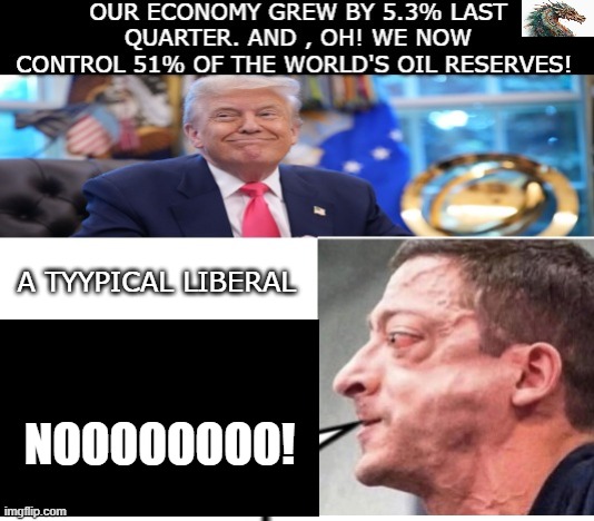 politics | A TYYPICAL LIBERAL; NOOOOOOOO! | image tagged in political meme | made w/ Imgflip meme maker