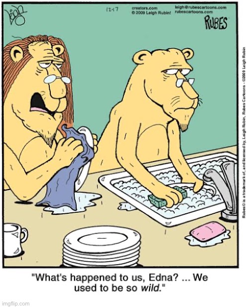 Rubes | image tagged in comics,rubes,lions,in a rut,wild,tame | made w/ Imgflip meme maker