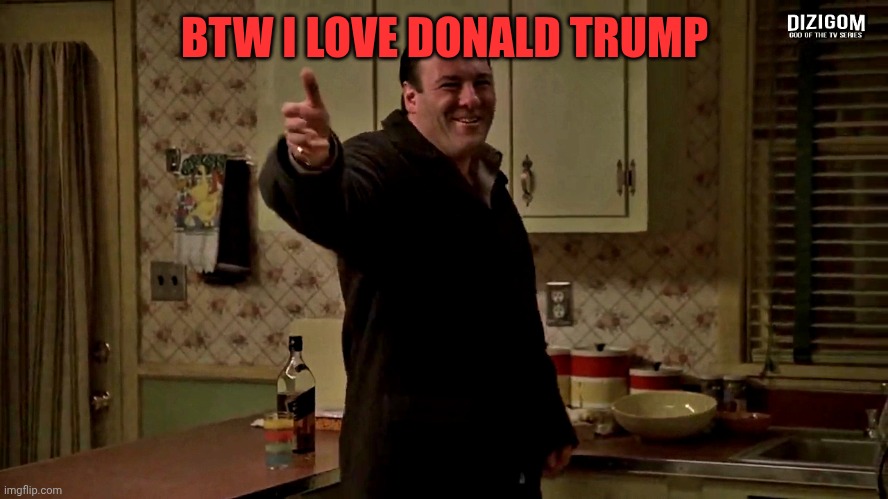 Cheerful Tony Soprano | BTW I LOVE DONALD TRUMP | image tagged in cheerful tony soprano | made w/ Imgflip meme maker