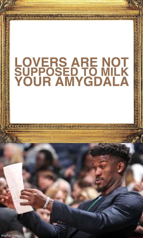 image tagged in what am i reading | made w/ Imgflip meme maker