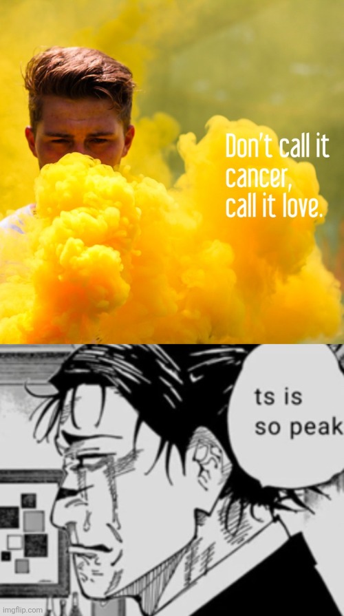 image tagged in ts is so peak | made w/ Imgflip meme maker