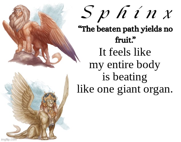 Spinx (aka erocitnaM) | It feels like my entire body is beating like one giant organ. | image tagged in spinx aka erocitnam | made w/ Imgflip meme maker