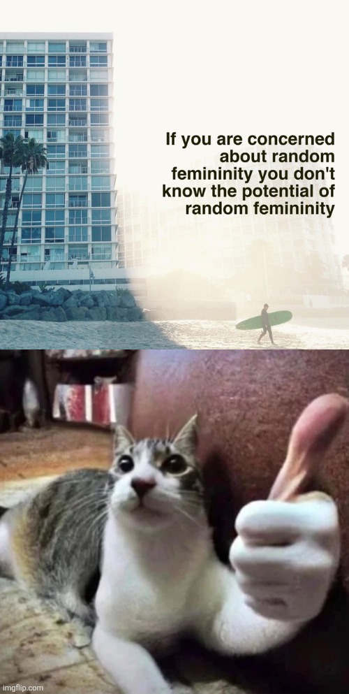 image tagged in cat thumbs up | made w/ Imgflip meme maker