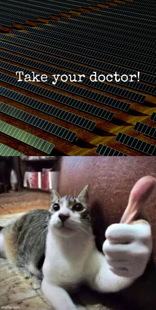 image tagged in cat thumbs up | made w/ Imgflip meme maker