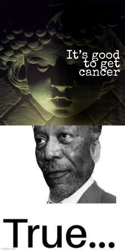 image tagged in morgan freeman true | made w/ Imgflip meme maker