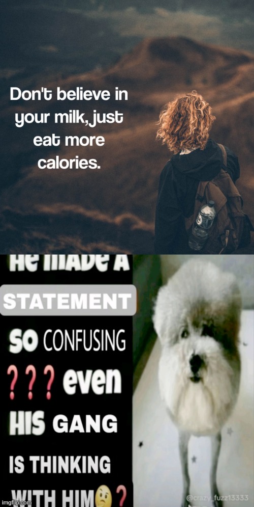 image tagged in he made a statement so confusing | made w/ Imgflip meme maker