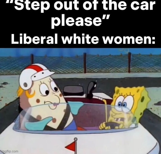 Just comply ffs | image tagged in why are you reading the tags | made w/ Imgflip meme maker