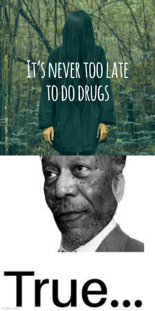 image tagged in morgan freeman true | made w/ Imgflip meme maker