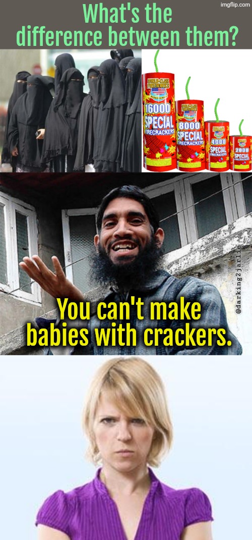 Fun fact: White Crackers love ab0rtion that's why you can't make babies with them. | What's the difference between them? @darking2jarlie; You can't make babies with crackers. | image tagged in firecracker,islamic rage boy happy,white woman,muslims,dark humor | made w/ Imgflip meme maker