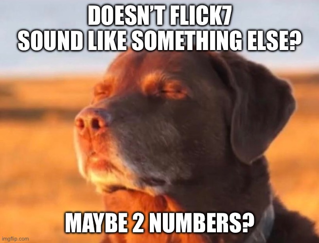 NOOOOOOOOO IMGFLIP WILL NEVER BE THE SAME | DOESN’T FLICK7 SOUND LIKE SOMETHING ELSE? MAYBE 2 NUMBERS? | image tagged in dog accepting fate,memes,funny,funny memes,meme,cool | made w/ Imgflip meme maker