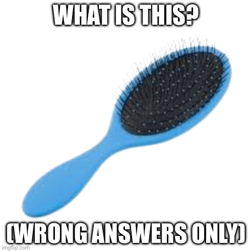 Deadly Weapon | WHAT IS THIS? (WRONG ANSWERS ONLY) | image tagged in deadly weapon | made w/ Imgflip meme maker