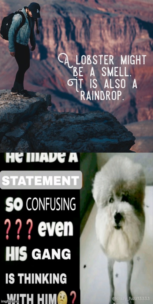 image tagged in he made a statement so confusing | made w/ Imgflip meme maker