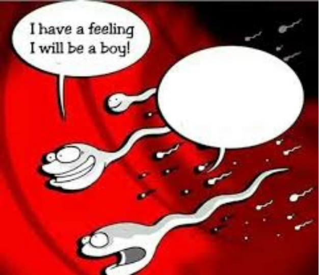 i have a feeling i will be a boy Blank Meme Template