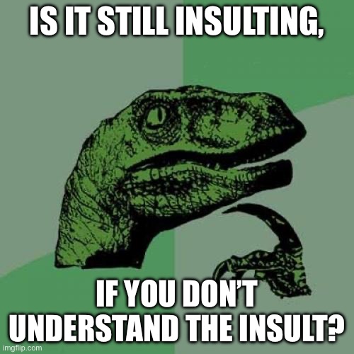 Insult | IS IT STILL INSULTING, IF YOU DON’T UNDERSTAND THE INSULT? | image tagged in memes,philosoraptor | made w/ Imgflip meme maker