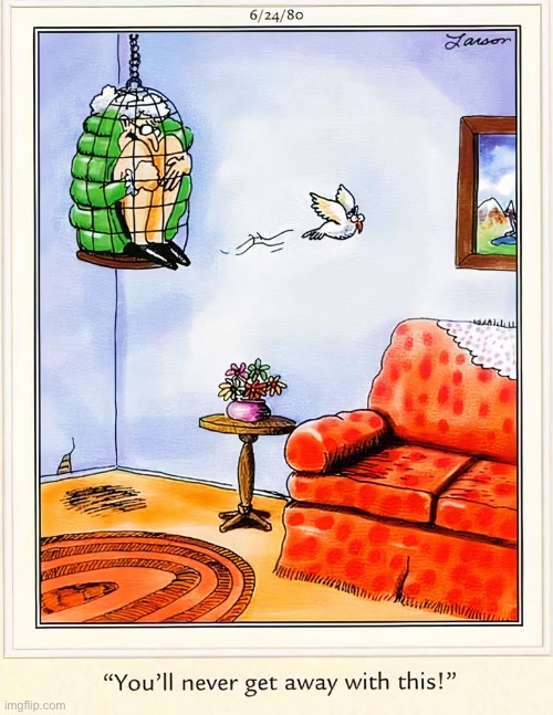He just might… | image tagged in the far side,comics,bird,old lady,escape,cage | made w/ Imgflip meme maker