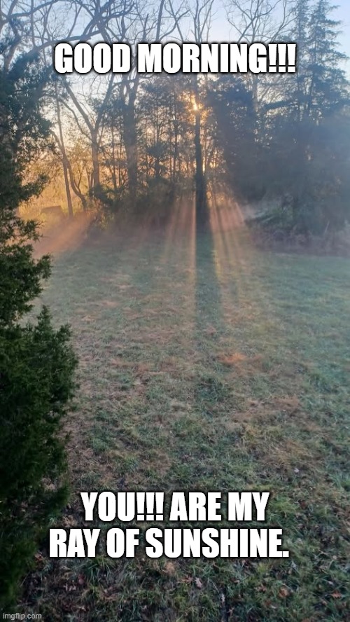 mornings | GOOD MORNING!!! YOU!!! ARE MY RAY OF SUNSHINE. | image tagged in mornings | made w/ Imgflip meme maker