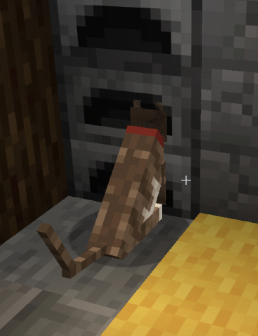 minecraft cat Blank Meme Template