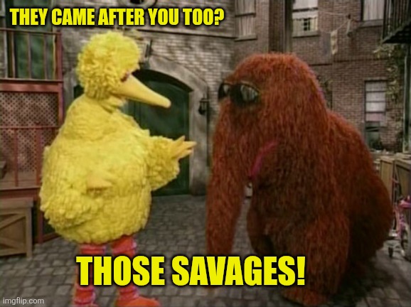 Big Bird And Snuffy Meme | THEY CAME AFTER YOU TOO? THOSE SAVAGES! | image tagged in memes,big bird and snuffy | made w/ Imgflip meme maker