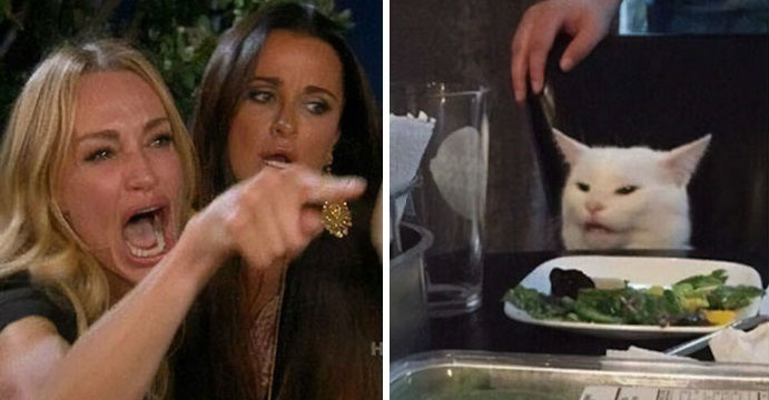 meme do gato Blank Meme Template