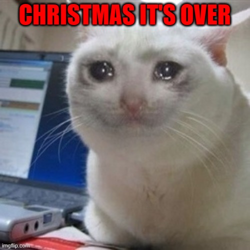 Crying cat | CHRISTMAS IT'S OVER | image tagged in crying cat | made w/ Imgflip meme maker