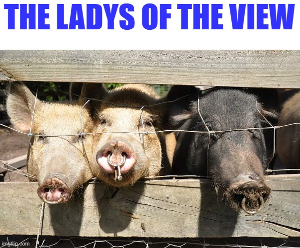 Do the young women know what nose rings are really used for ? | THE LADYS OF THE VIEW | made w/ Imgflip meme maker