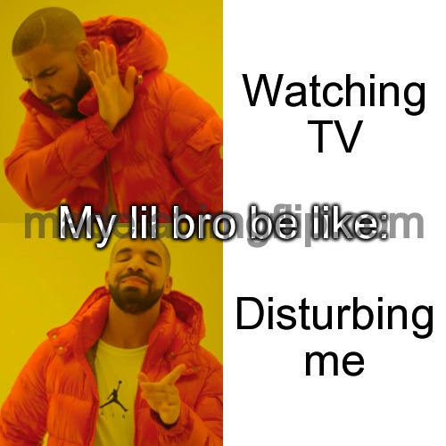 Drake Hotline Bling | Watching TV; My lil bro be like:; Disturbing me | image tagged in memes,drake hotline bling | made w/ Imgflip meme maker