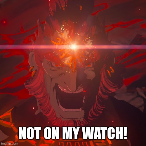 NOT ON MY WATCH! | image tagged in demon king ganondorf | made w/ Imgflip meme maker