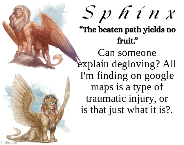 Spinx (aka erocitnaM) | Can someone explain degloving? All I'm finding on google maps is a type of traumatic injury, or is that just what it is?. | image tagged in spinx aka erocitnam | made w/ Imgflip meme maker