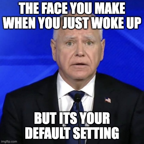 Waltz | THE FACE YOU MAKE WHEN YOU JUST WOKE UP; BUT ITS YOUR DEFAULT SETTING | image tagged in waltz | made w/ Imgflip meme maker