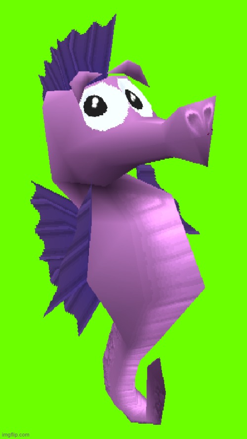 cute sea horse | image tagged in cute sea horse | made w/ Imgflip meme maker